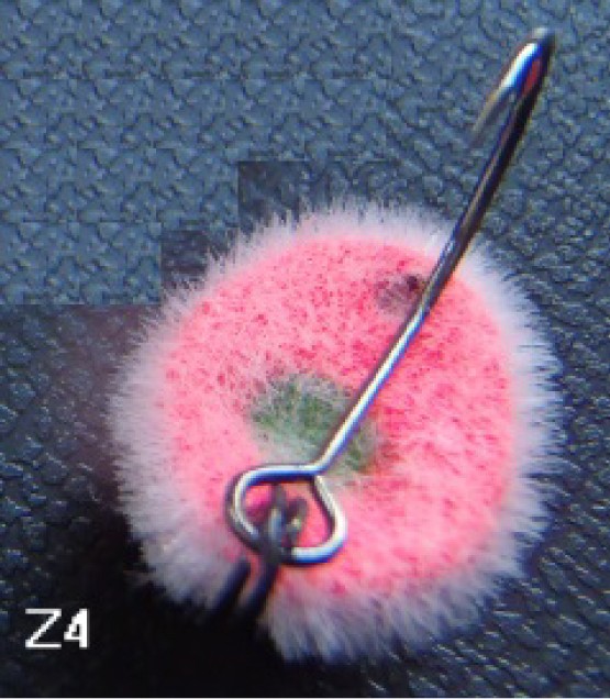God Hands EXA Afro (Afulo) Z4 1,4 g