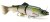 3D Line Thru Trout 25 cm 180 g SS - AYU - limitovaná edice