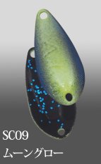 Ivyline Acti 1,8 g SC09