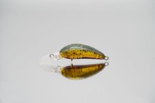 Alfred Croto DR SS 30 mm 1,8 g Dytiscidae perl