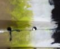 Lime Camo