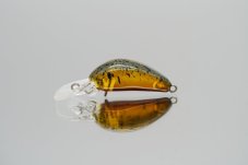 Alfred Croto mini DR SS 25 mm 1,6 g Dytiscidae perl