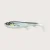Wolfcreek Shad 20 cm Strömming