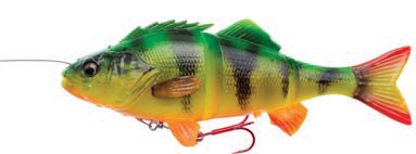4D Line Thru Perch 23 cm SS 145 g Firetiger