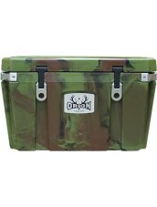 Orion Cooler 55